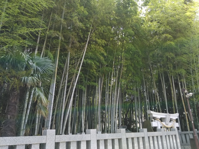 千葉の有名神社参拝 下総国総鎮守の葛飾八幡宮 日本のゆかしい神社旅